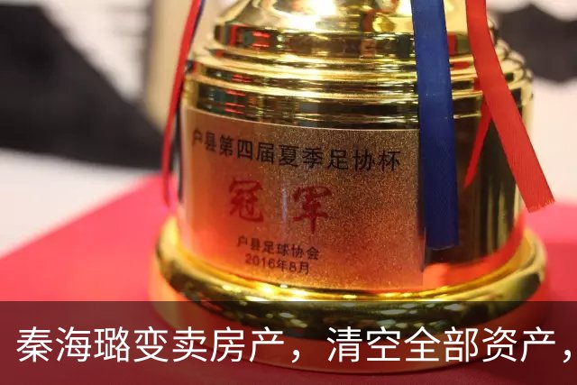 秦海璐变卖房产，清空全部资产，凑出近亿身家，绝境兜底救下刘涛